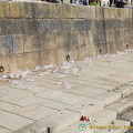 Oporto (756 odwiedzin) Oporto